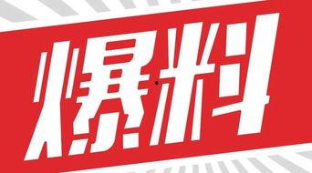 獨(dú)家爆料,震驚內(nèi)幕，揭秘事件背后真相！