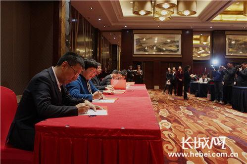 河北銀行業最新爆料,揭秘行業變革與風險挑戰