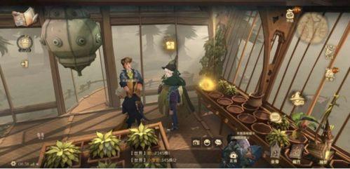 魔法覺醒9最新爆料圖片,揭秘全新爆料，神秘魔法世界即將展開